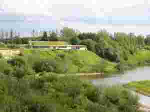 Thursday Tools Maintenance Volunteer at College Lake