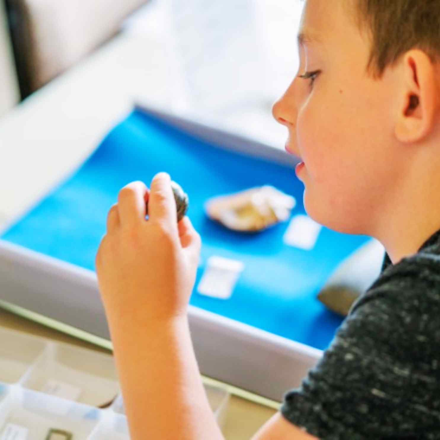 Volunteer Family Event Assistant