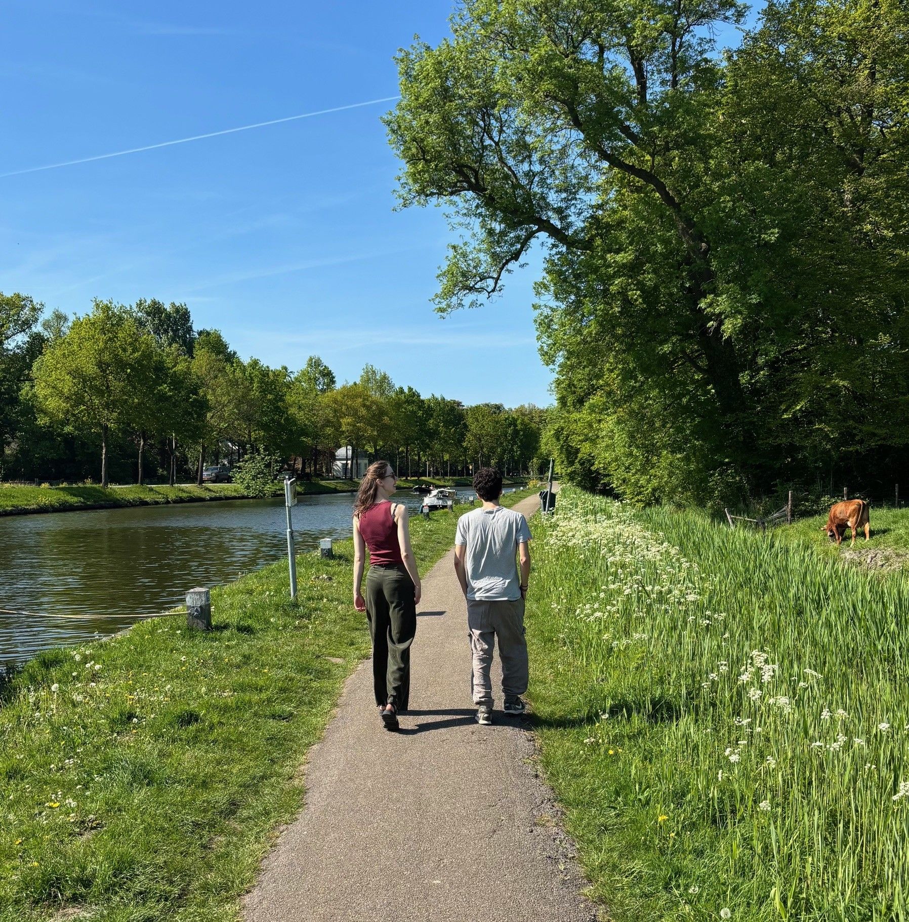 Koffieuurtje & wandeling 