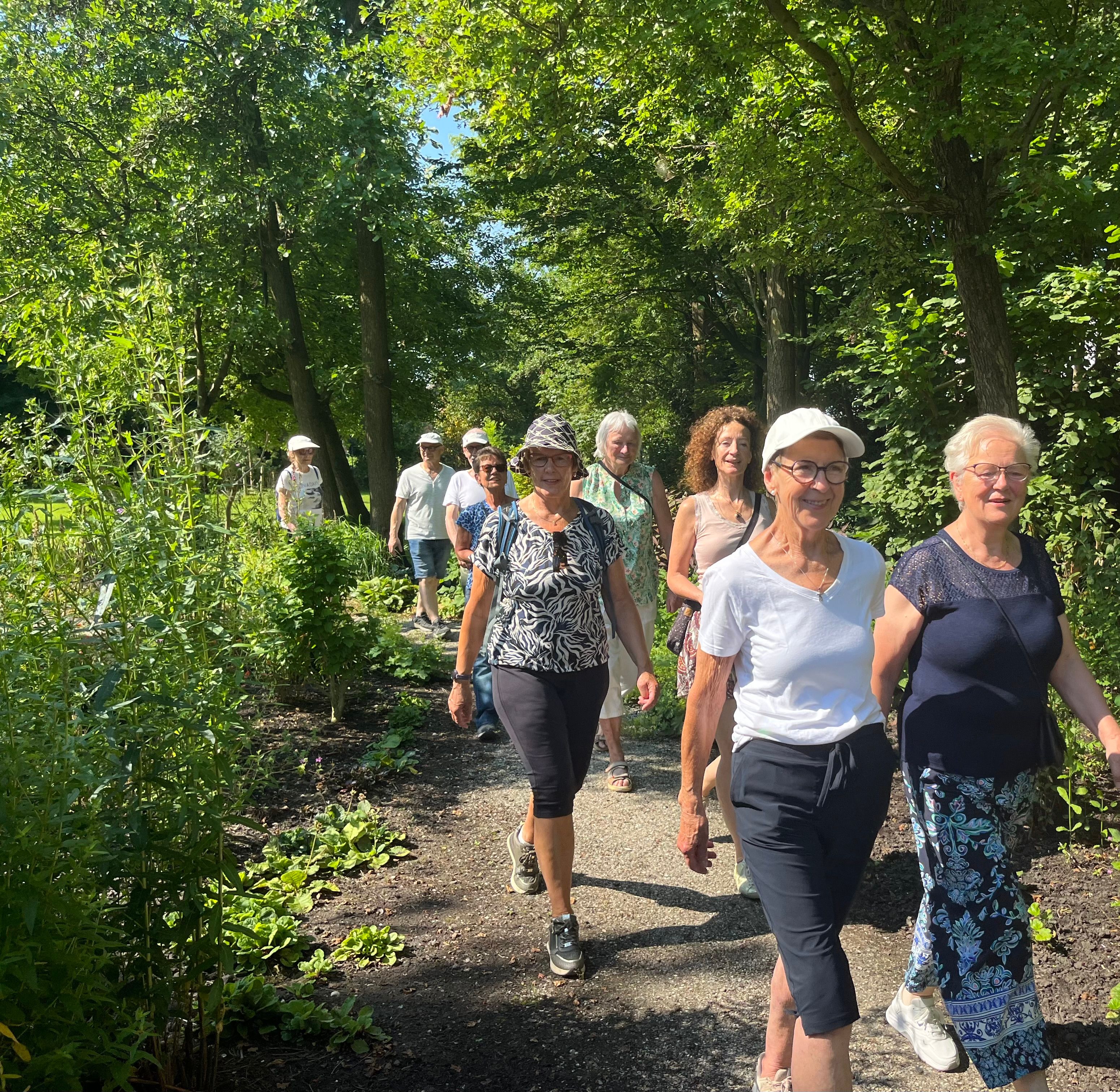 Samen wandelen: gezellig, groen en gezond! 