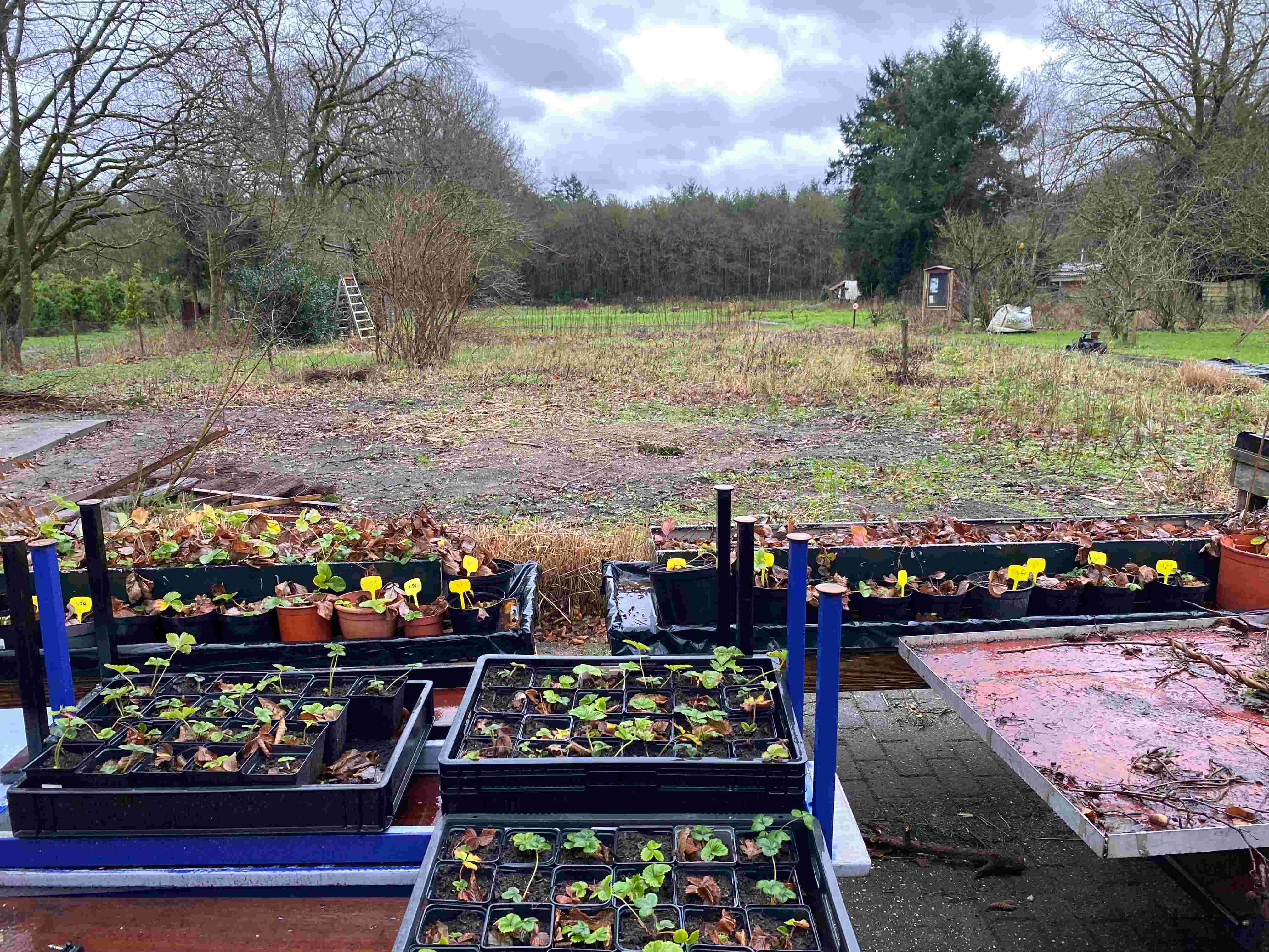 Vrijwilligers vervoer