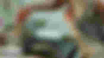 Experienced Cook - Volunteer