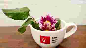 Ondersteuning huiskamer tijdens avondspits