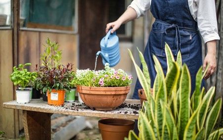  Volunteer Gardeners needed - Aylesbury