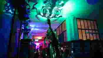 Twilight at the Museums 2026 Volunteer