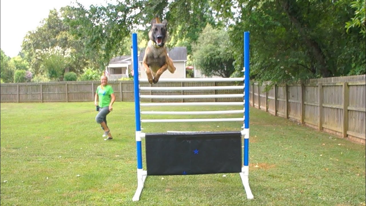 Wij zoeken een handyman voor het maken van trainingsmateriaal 