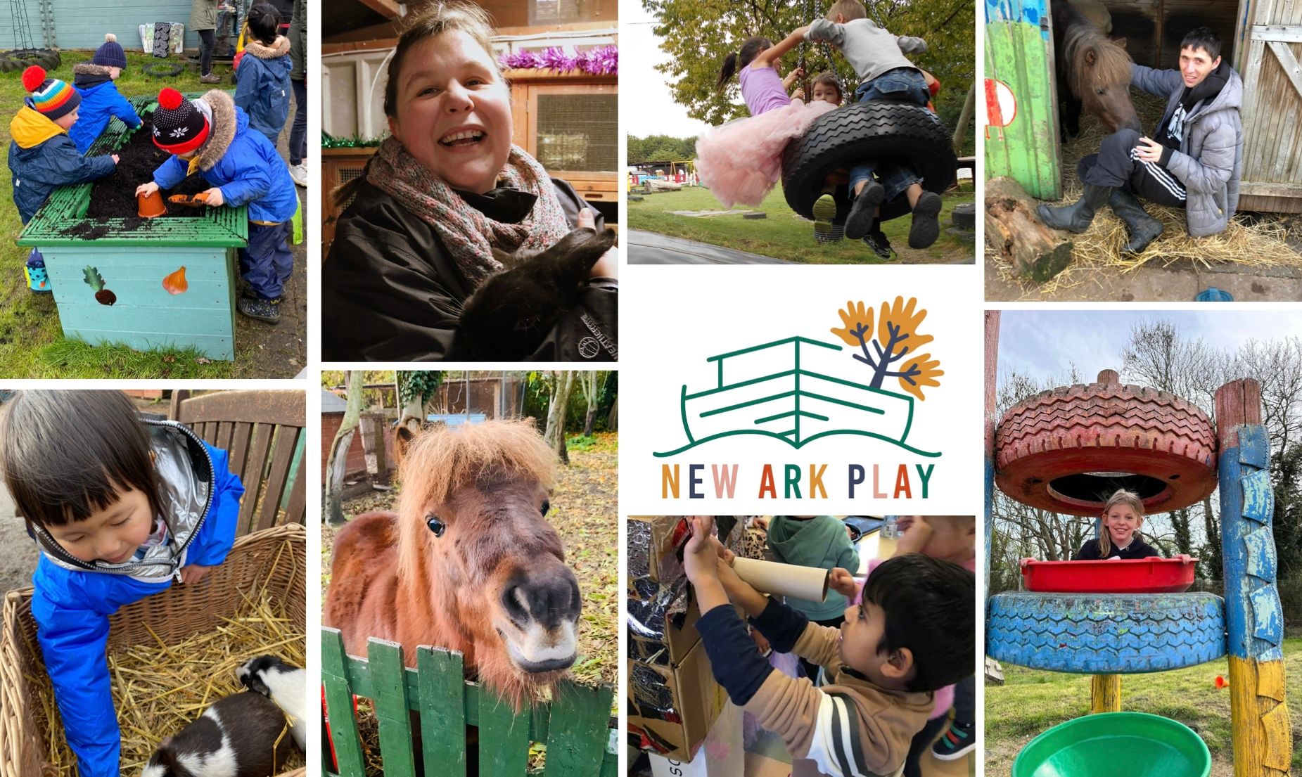 Management Committee Member