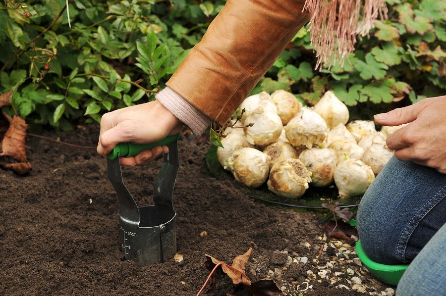 Voorbereiding om de lente te brengen bij de bewoners van Wijdezorg 