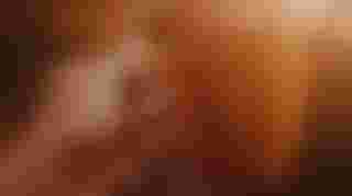 Gastvrouw/-heer koffie-inloop Bussum