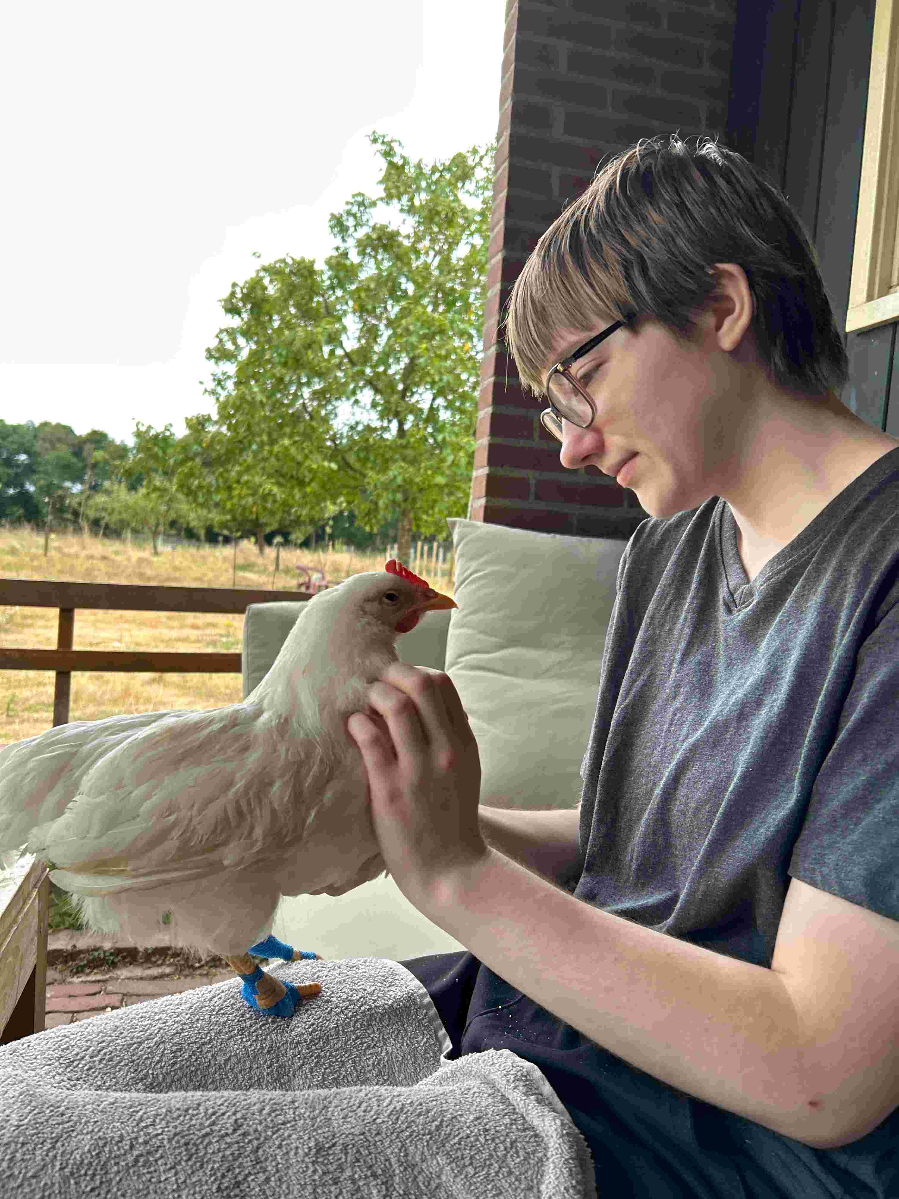 Medische dierverzorger