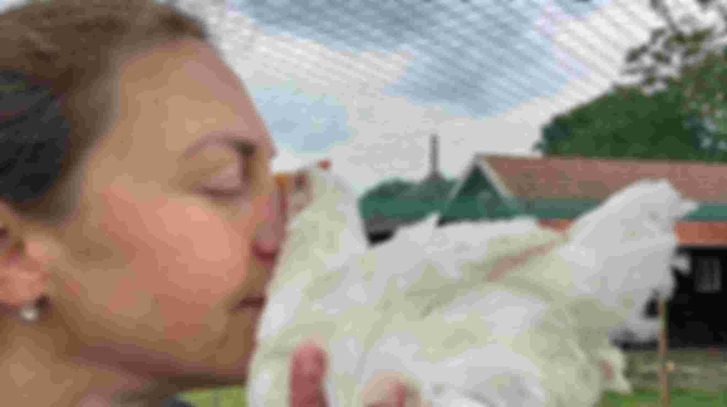 Content & social media expert