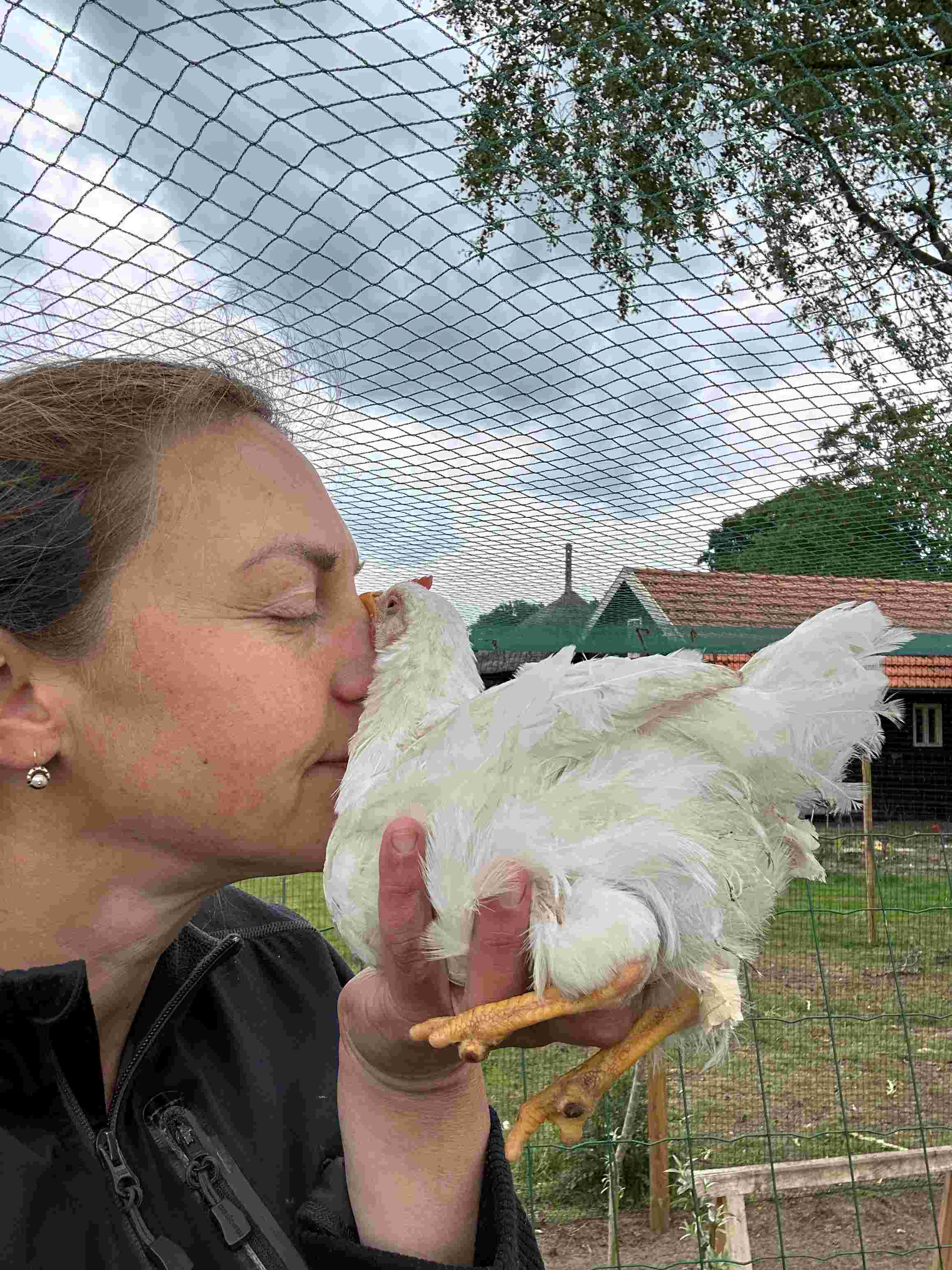 Content & social media expert