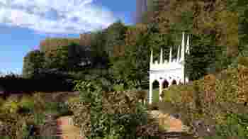 Welcome Desk Volunteer