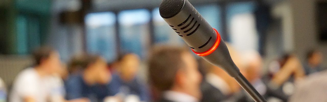 De gemeenteraad; een introductie - Online