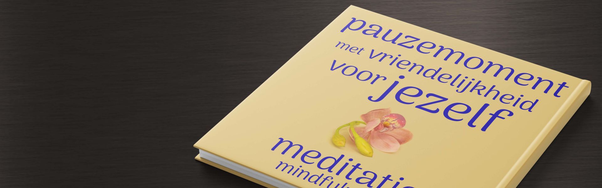 Pauzemoment met vriendelijkheid voor jezelf: mindfulness meditatie - Audioboek
