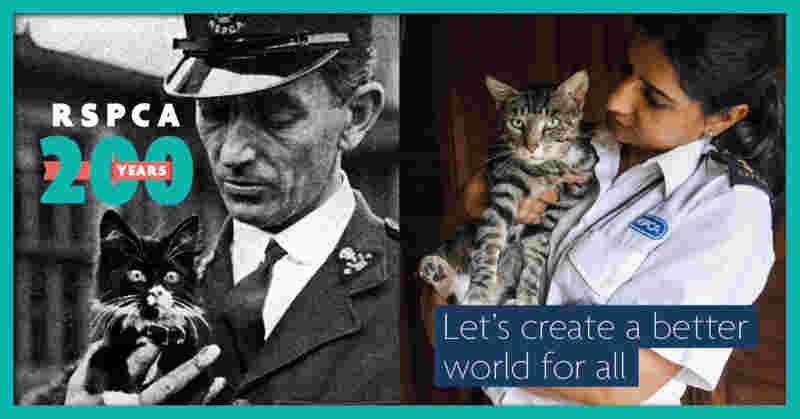 RSPCA Microvolunteer (England)