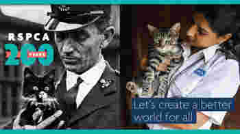 RSPCA Microvolunteer (England)