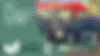 Chauffeur Stichting Wijkbus Zuid/West