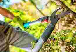 Samen met jouw groep tuinen klaar maken voor regulier onderhoud