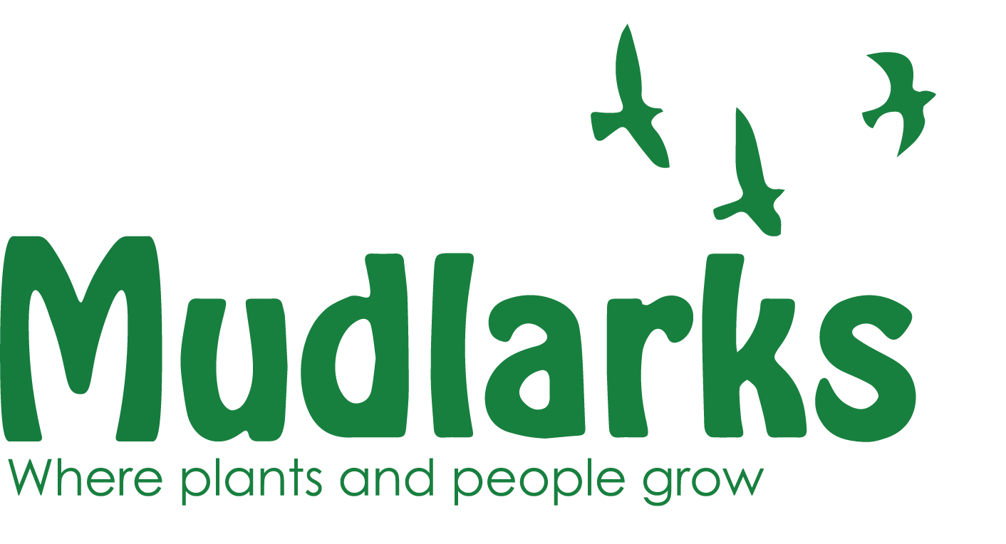 Mudlarks Trustee