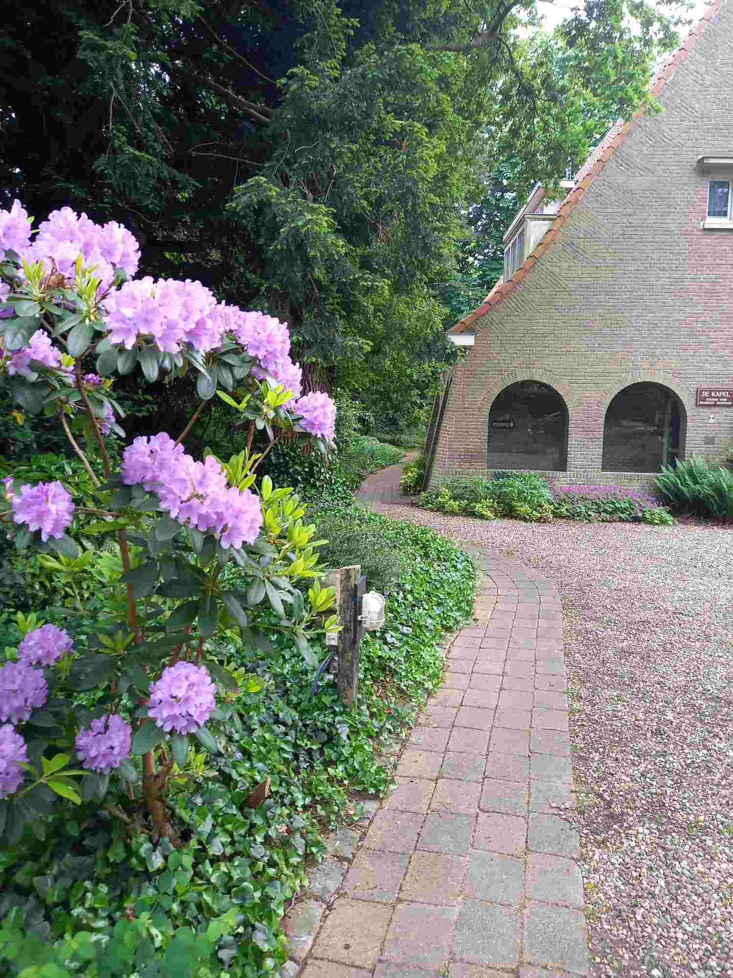 Handige Harry gezocht