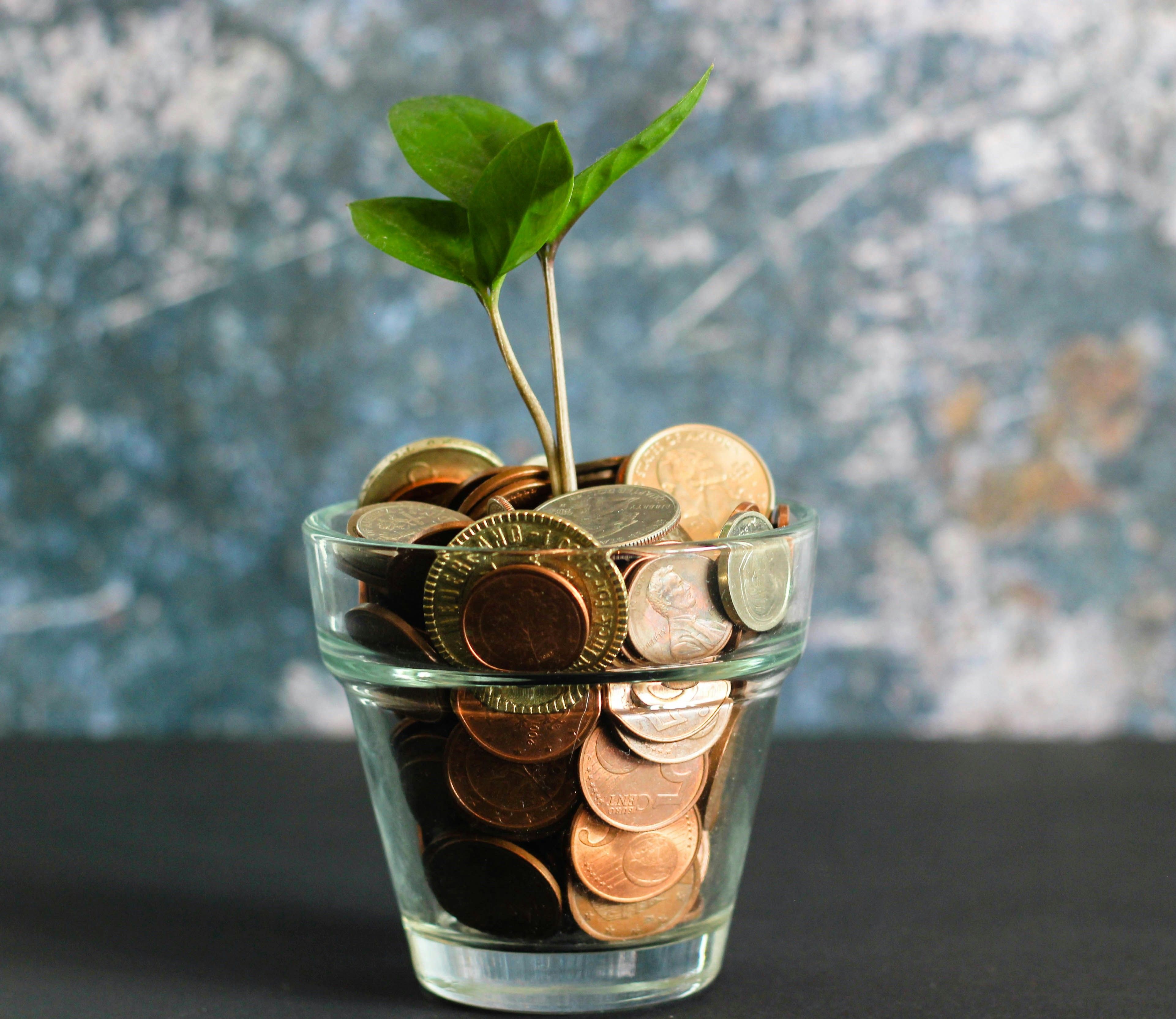 Penningmeester gezocht!