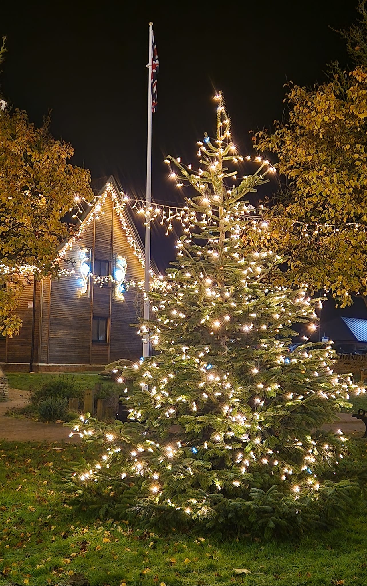 Christmas Light Switch On