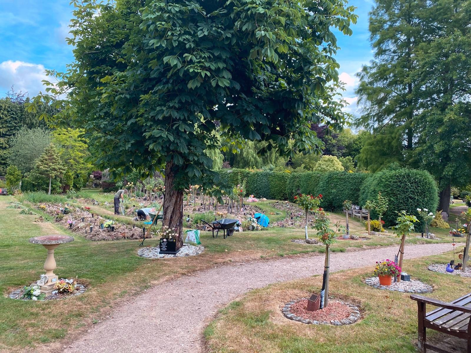 Be a St Faiths Sunflowers 🌻 Nurture our Green Spaces