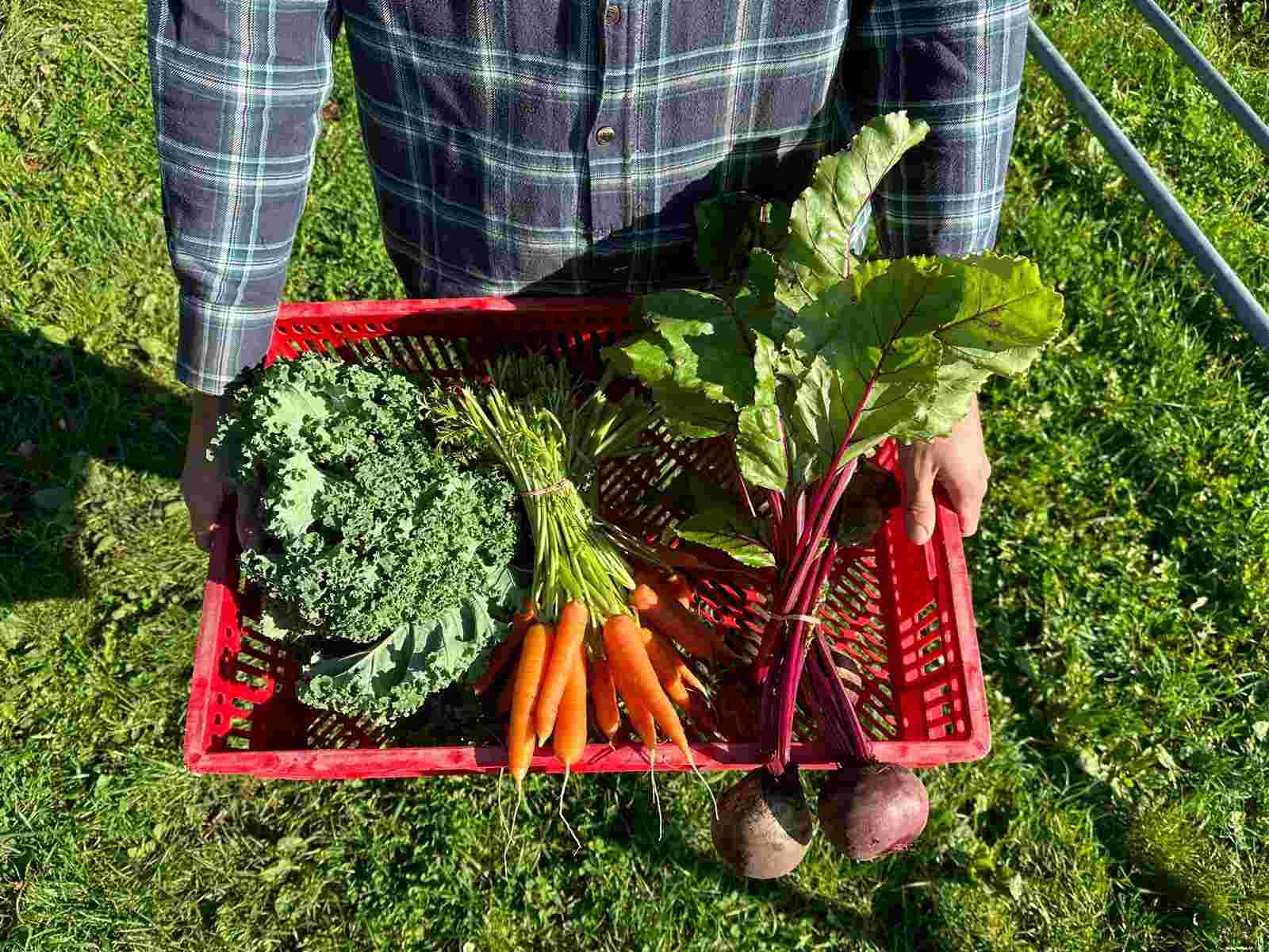 Ambassadeur Lekker Lokaal voedsel
