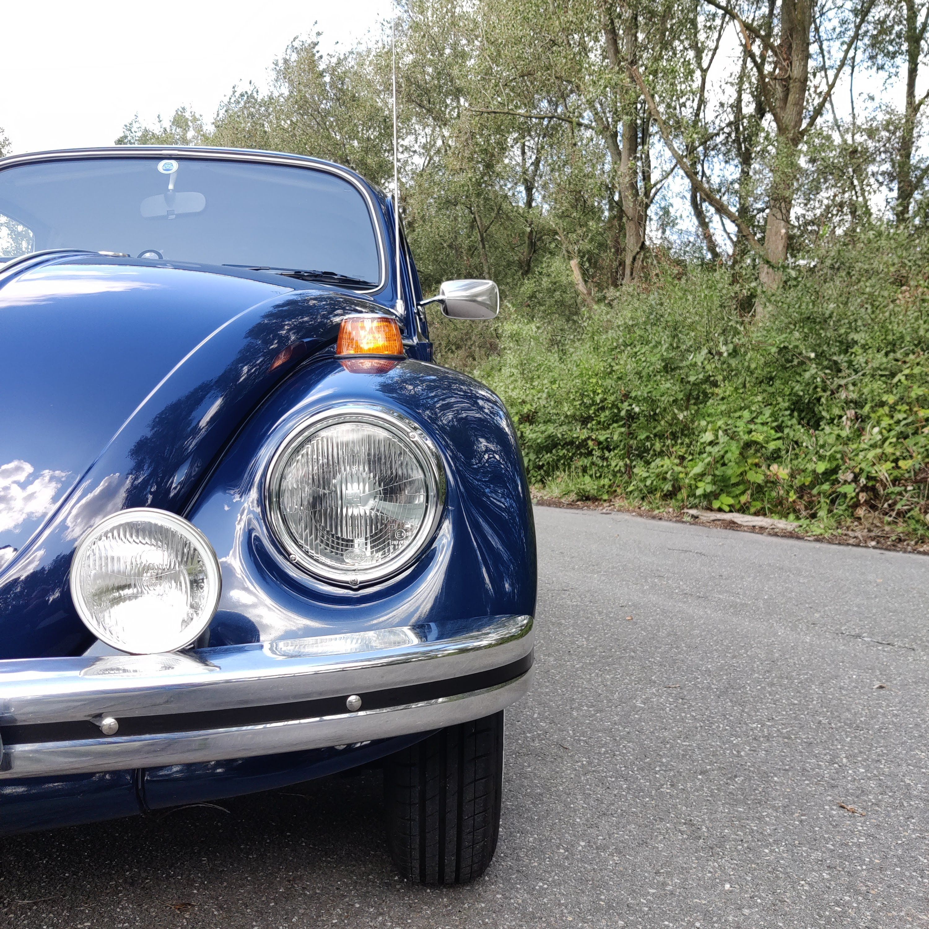 Keverdag Noord Holland