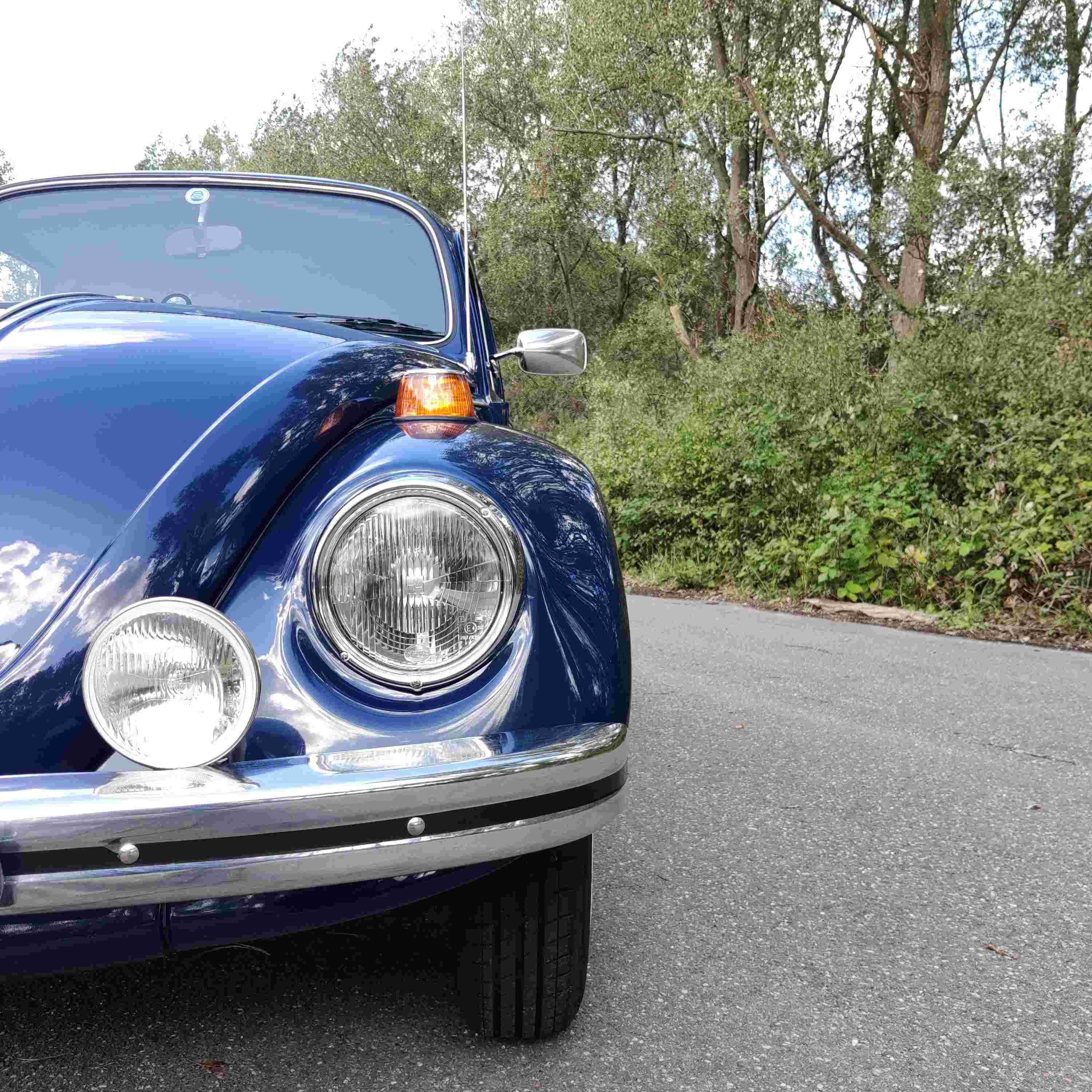 Keverdag Noord Holland