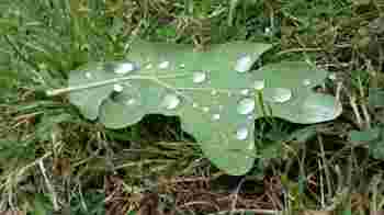 Odd Job Day - 12 Jan 2026 - 9:30 am