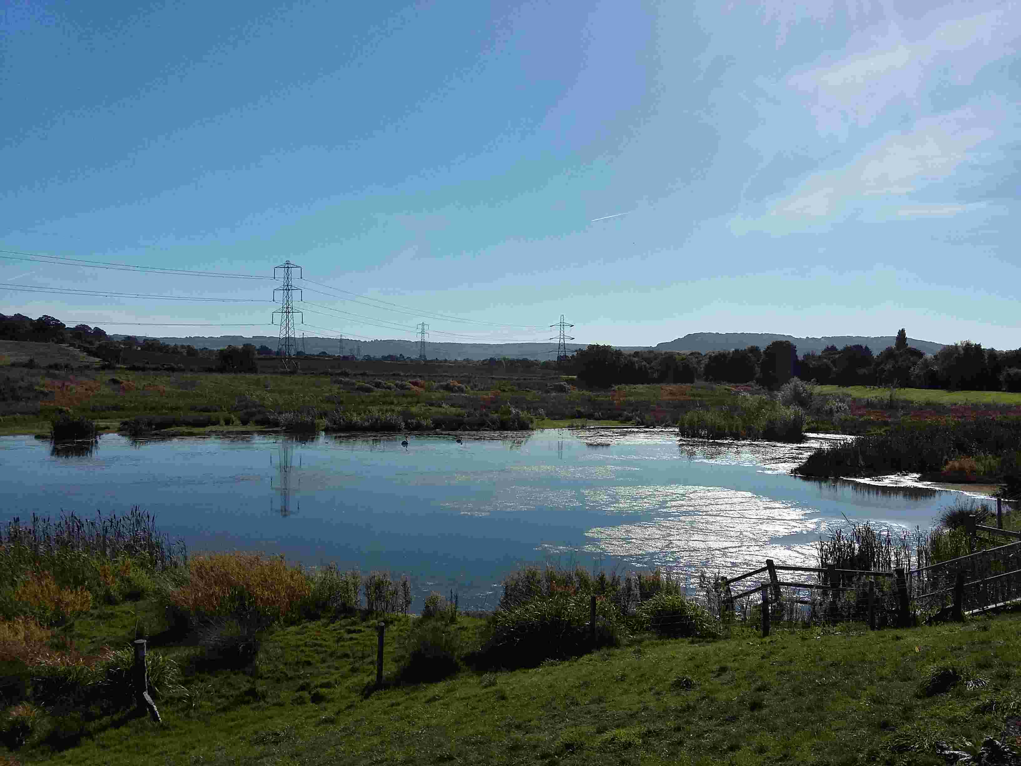Willow Clearing - The Pond