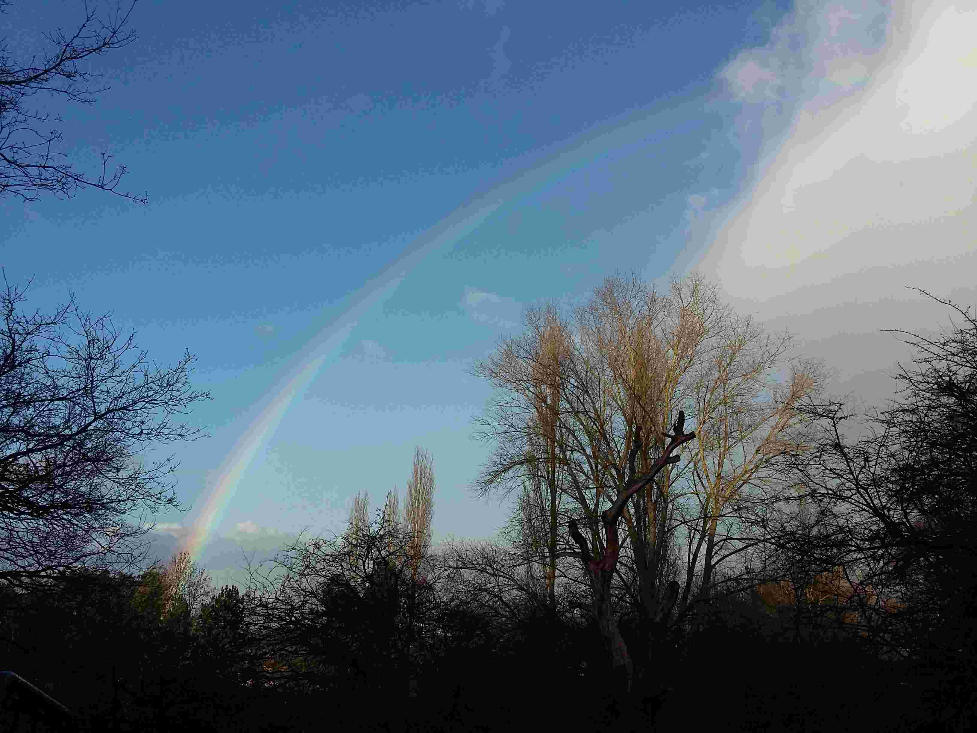 Trimming - October 15 at 9.30 am - Meet at Fox Elms Car Park