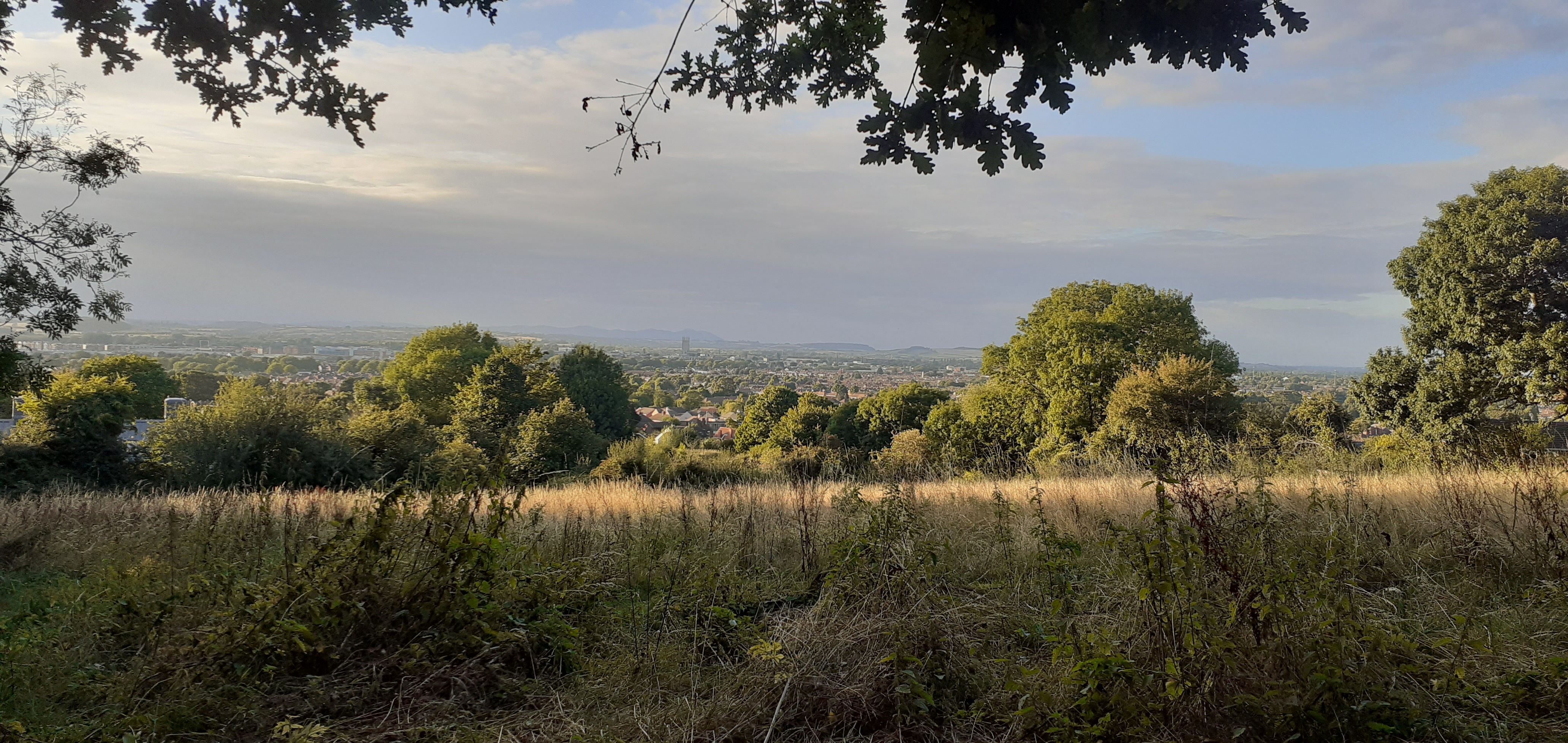 Clearing Scrub - Meet at Fox Elms Car Park