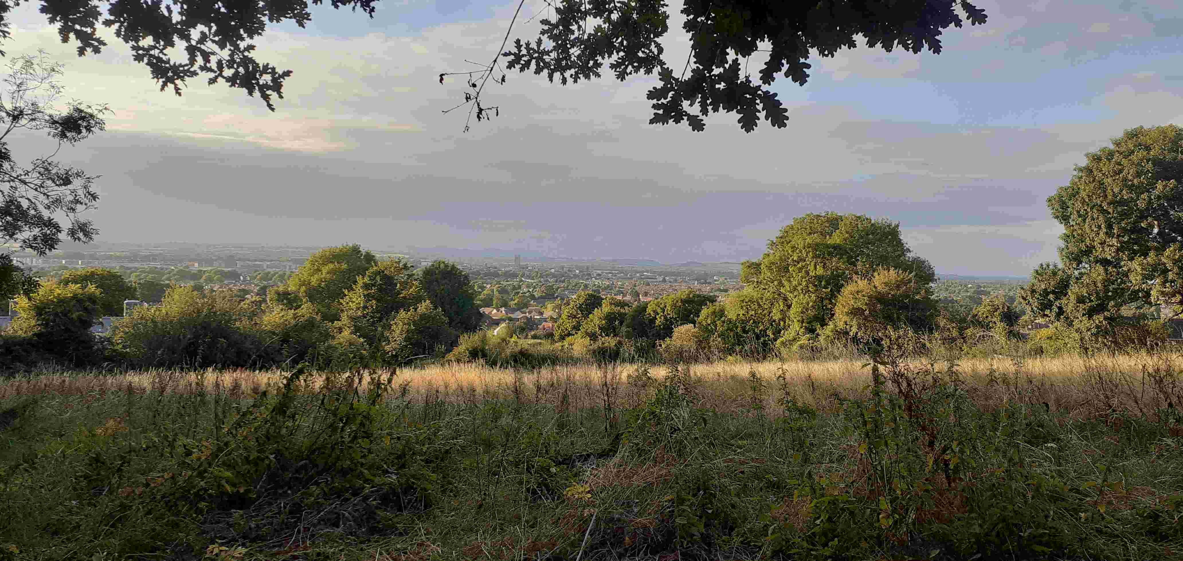 What a view! - October 8 at 10.30 am - Meet at Fox Elms Car Park