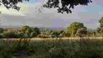 Clearing Scrub - Meet at Fox Elms Car Park