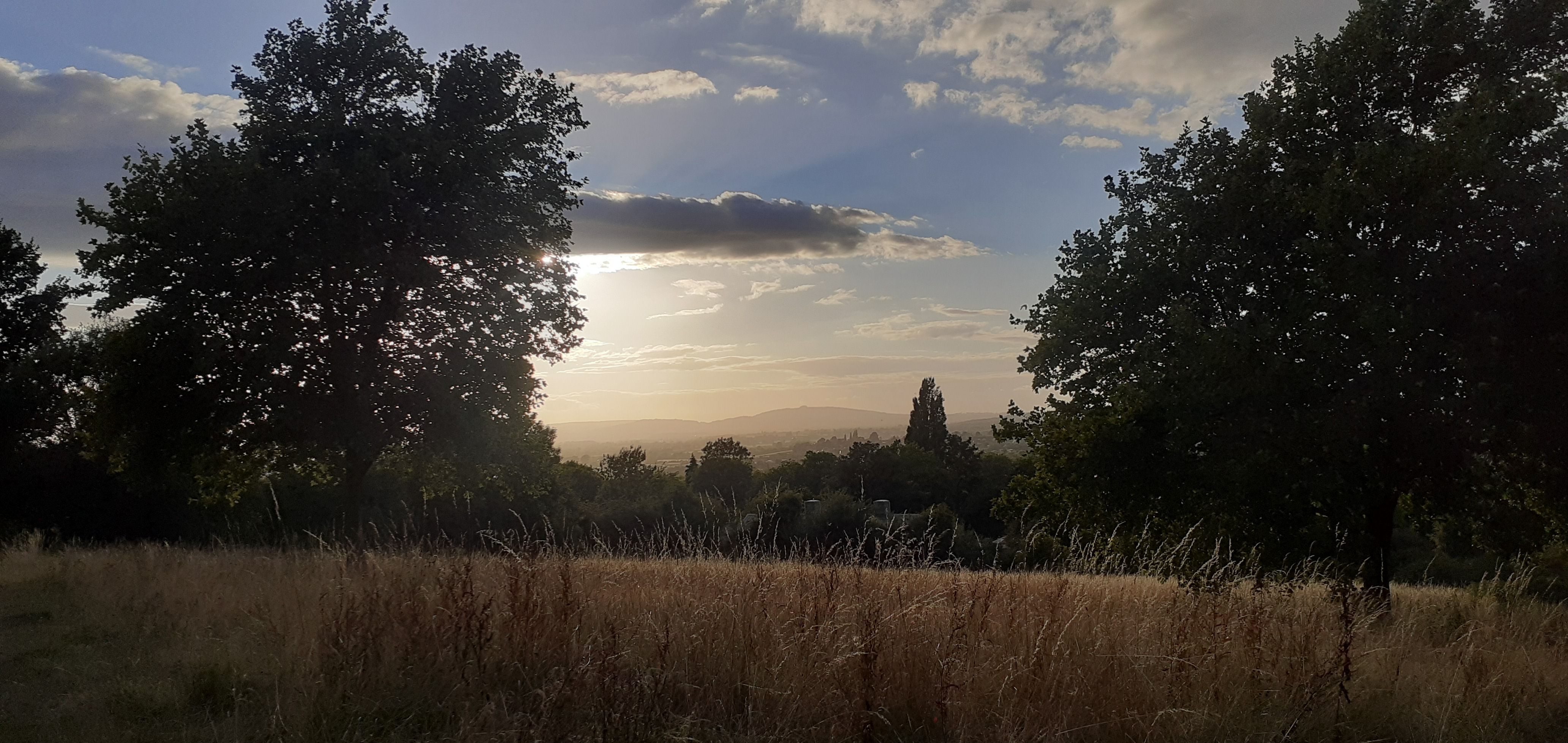 Viewpoint - November 5 at 9.30 am - Meet at Fox Elms Car Park