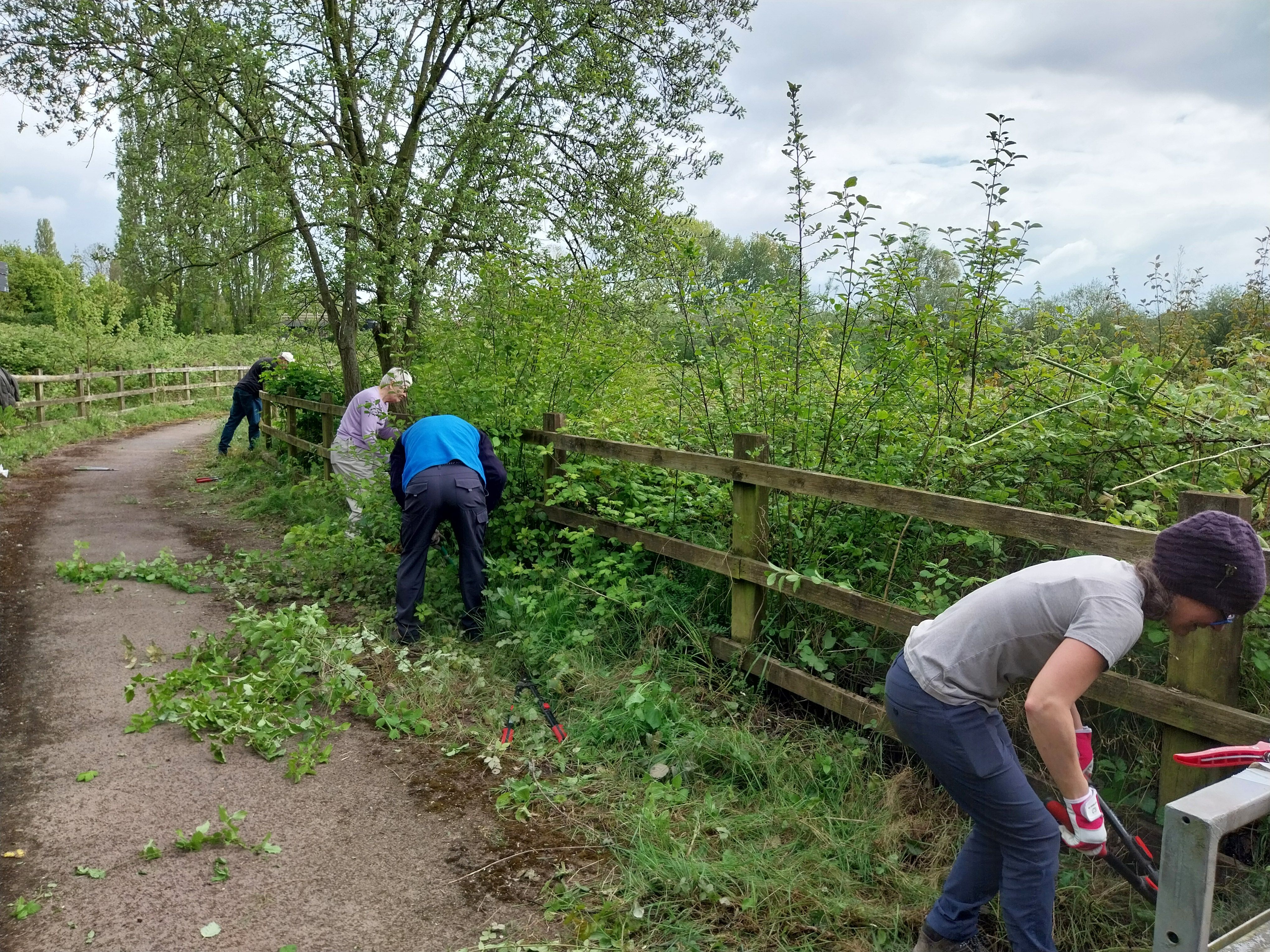 Clearing the cycleway - Saturday 19 July - 1:00 - 3 pm