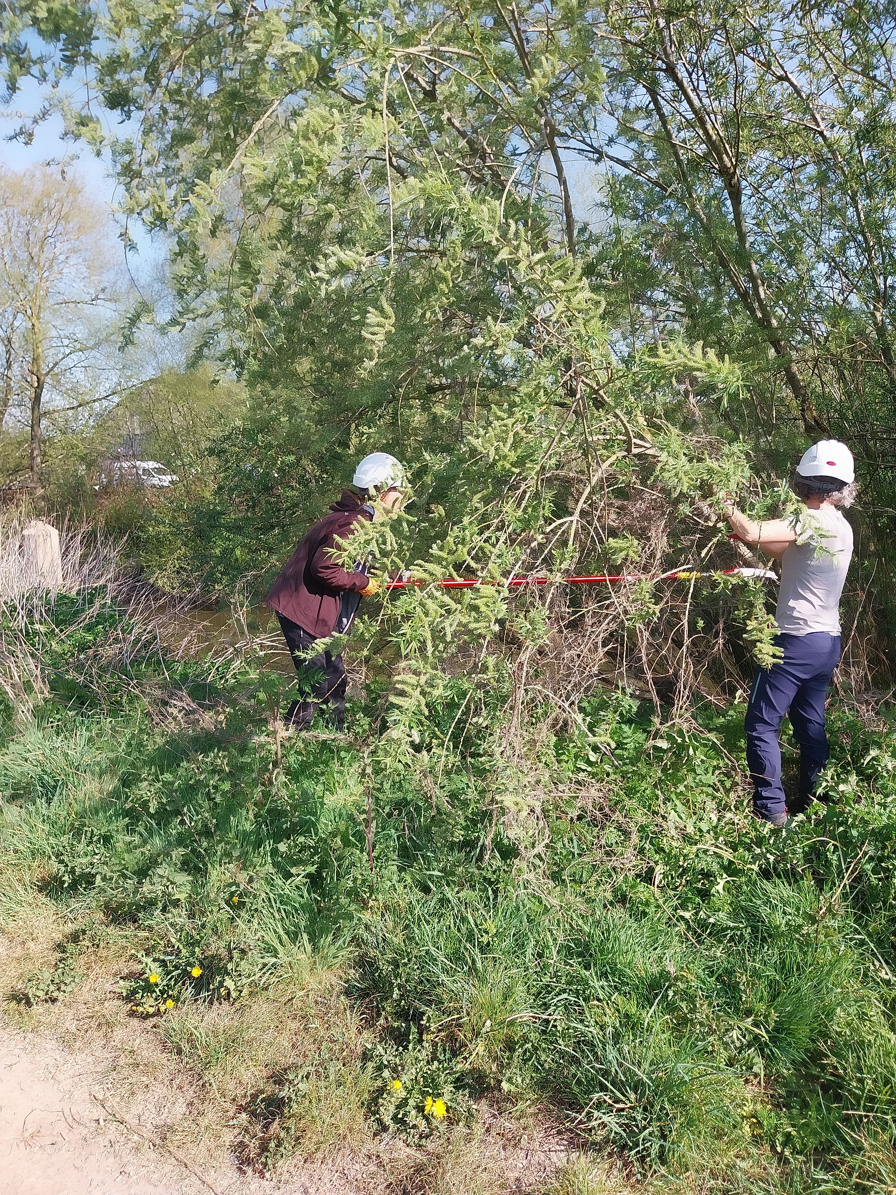 Clearing the cycleway - Monday 7 July - 9:30 - 12:30 pm
