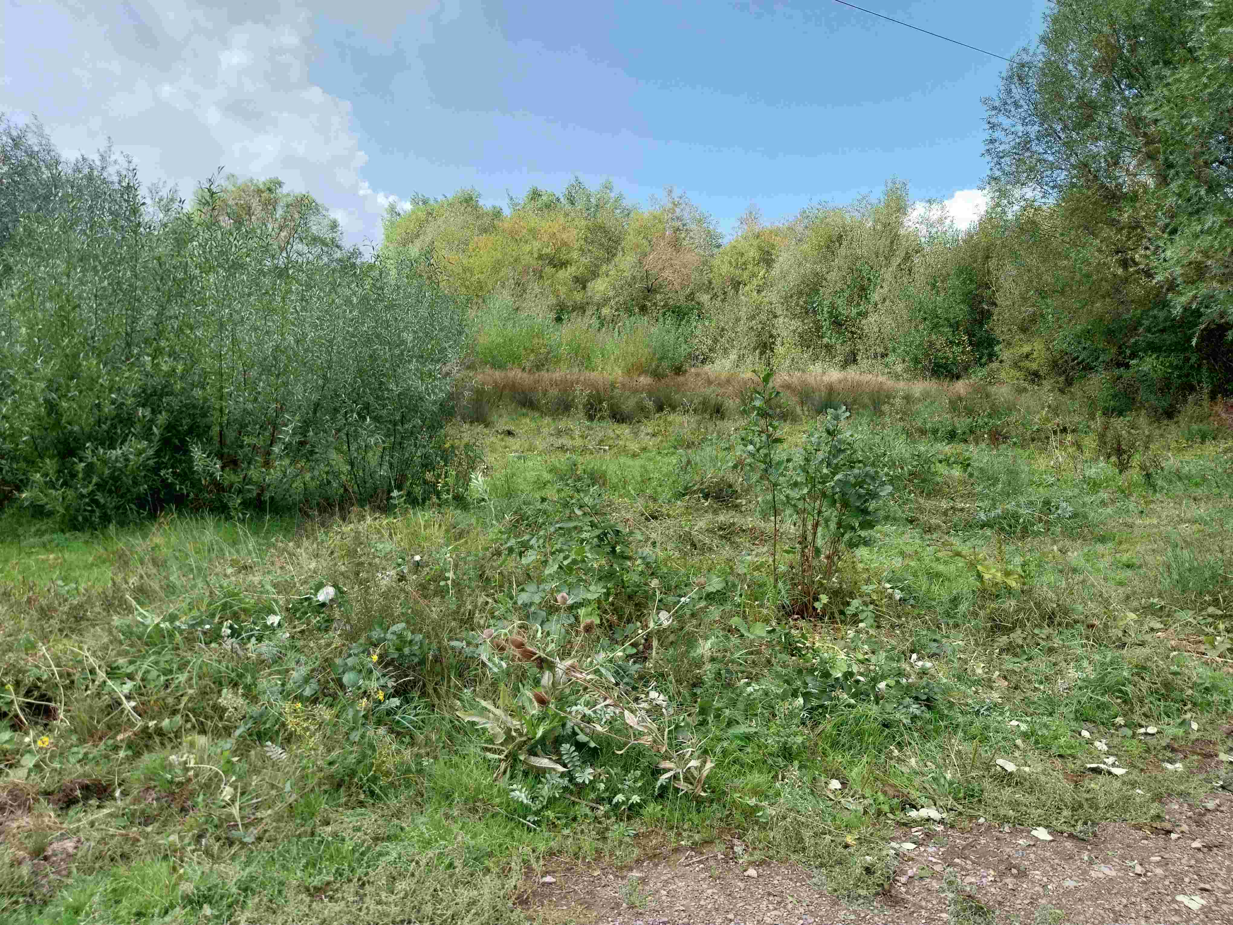 Clearing the Floodplain - Monday 20 October - 9:30 - 12:30 pm