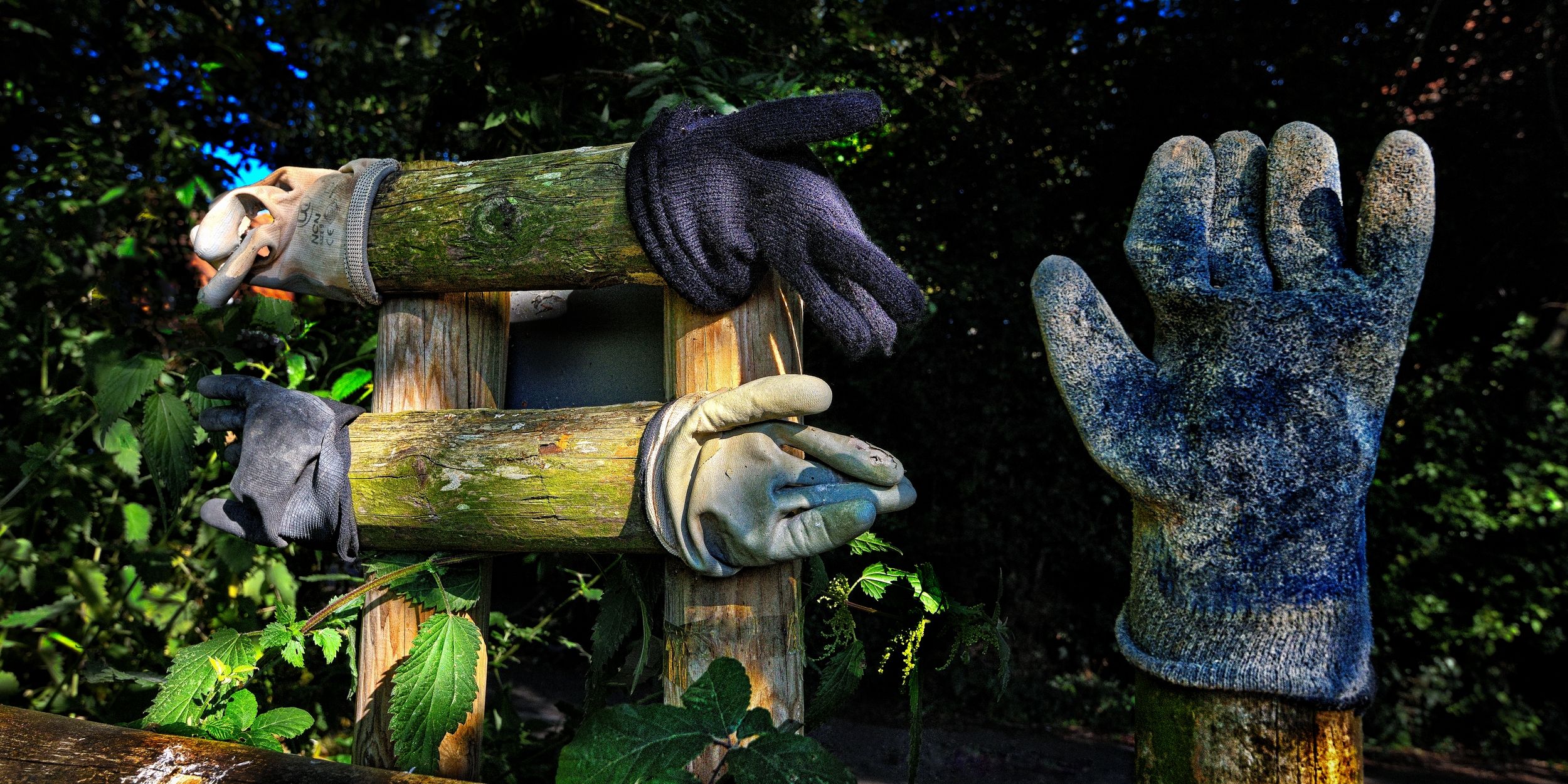 Fencing - Friday 9 January - Green Lane