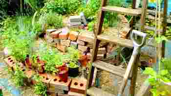 Got food waste? Learn how to make compost