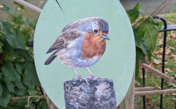 Garden Behind the Library: Plant Identification & Storytelling