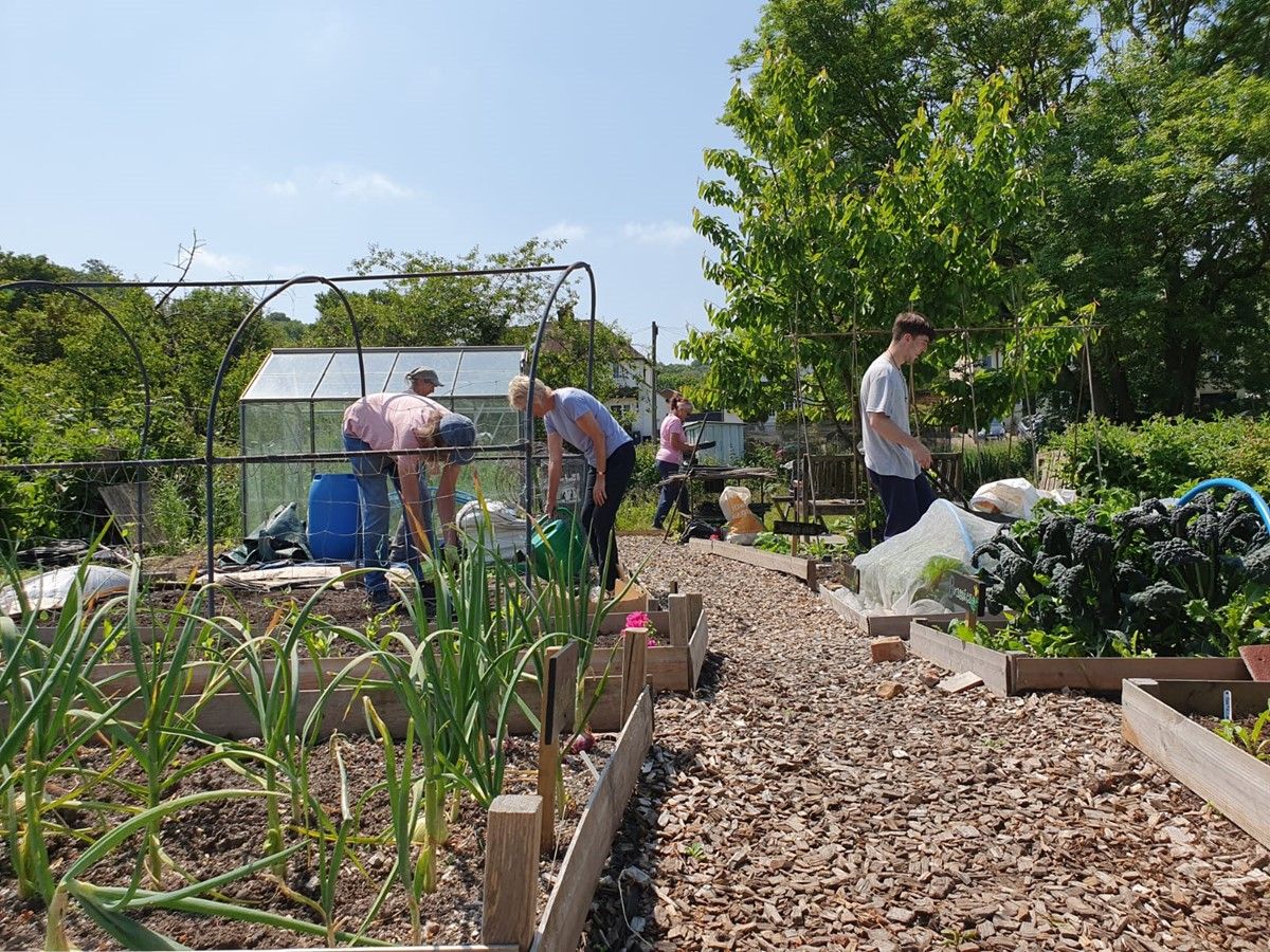 Community Allotment Volunteer
