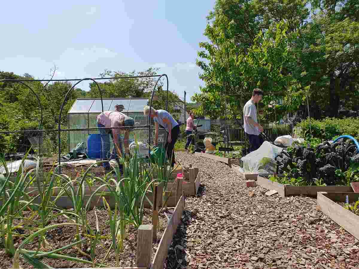 Community Allotment Volunteer