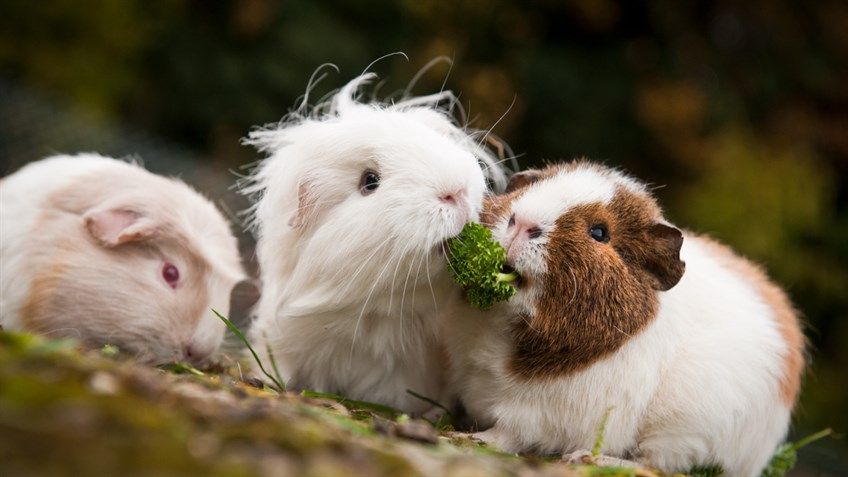 Help us see the process