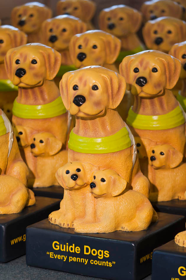 Collection Box Coordinator