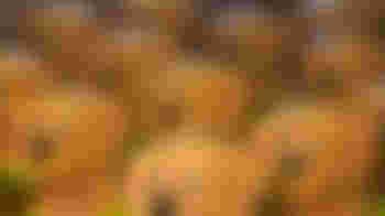 Collection Box Coordinator