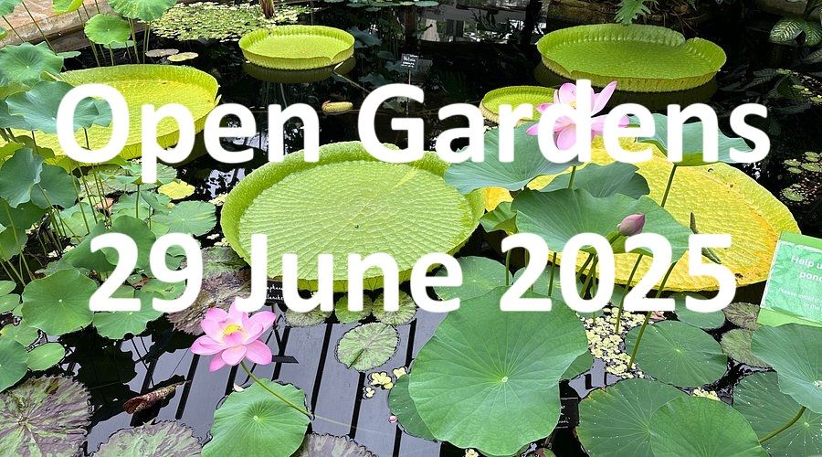Moseley in Bloom Open Gardens: shifts serving tea/selling tickets